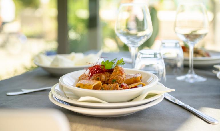 Pasta dish with sauce and garnishes, elegantly set.